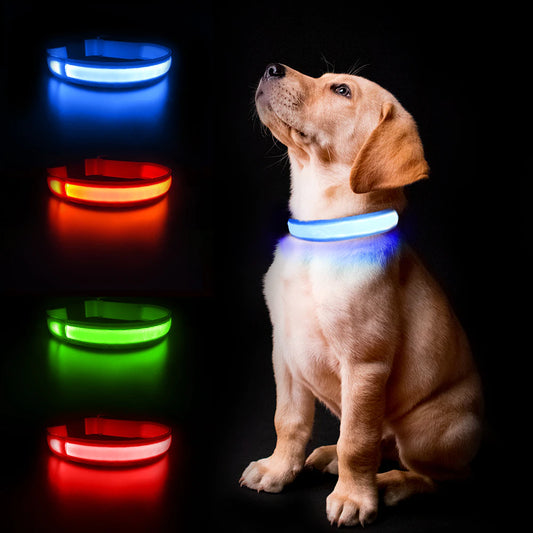 Dog Collar Luminous Pet Supplies Dog Collar Waterpoof Safety Collars Dropship
